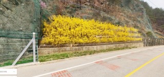 화천군 사내면 용담리, 벤치그린 시공후 13년